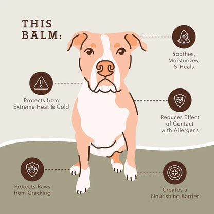 Natural Dog Company PawTection® – 2 oz Stick