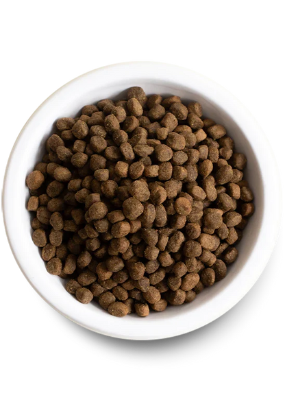 Open Farm Grain Free Kibble Dog Food Wild Salmon 22 LB Bag - Dog.Dog.Cat.