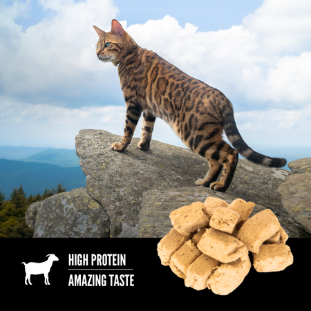 Orijen Freeze Dried Cat Treats-Tundra : 1.25 oz - Dog.Dog.Cat.