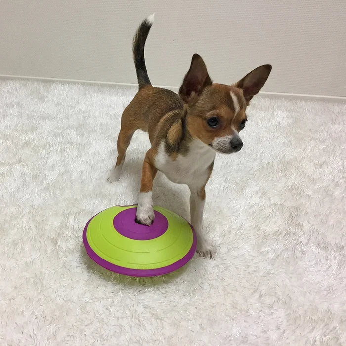 Outward Hound Dog Puzzle-Treat Maze : Level 2 - Dog.Dog.Cat.