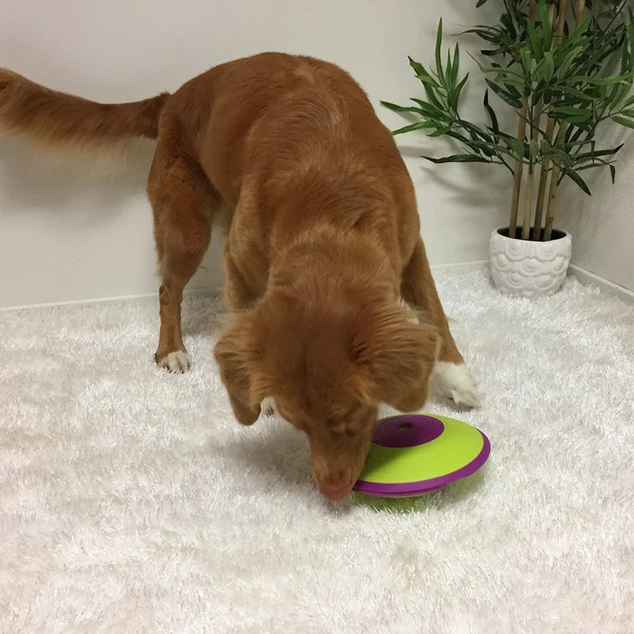 Outward Hound Dog Puzzle-Treat Maze : Level 2 - Dog.Dog.Cat.