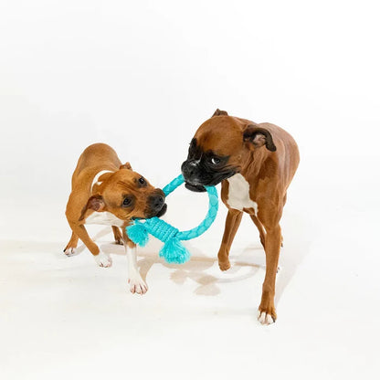 Playology Dual Layer Ring Dog Toy, Jumbo size, with an all-natural chicken scent. - Dog.Dog.Cat.