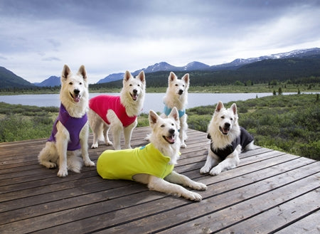 RC Pet Baseline Fleece Pullover - Dog.Dog.Cat.