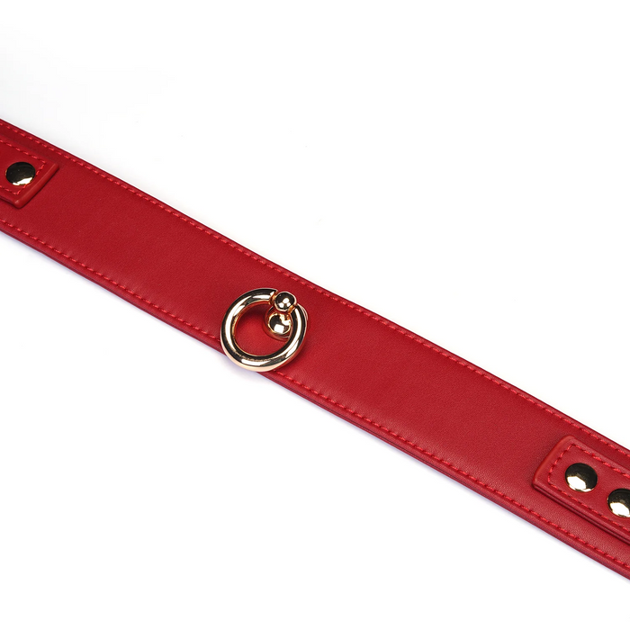 Red Vegan Leather Collar with Leash