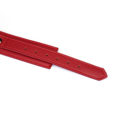 Red Vegan Leather Collar with Leash
