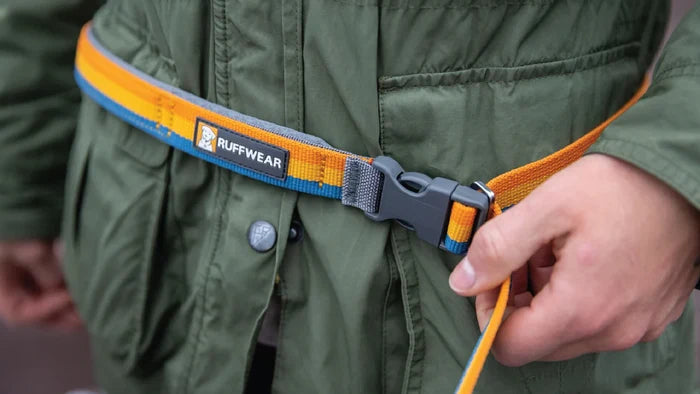 RuffWear Roamer Bungee Leash 2024 - Dog.Dog.Cat.