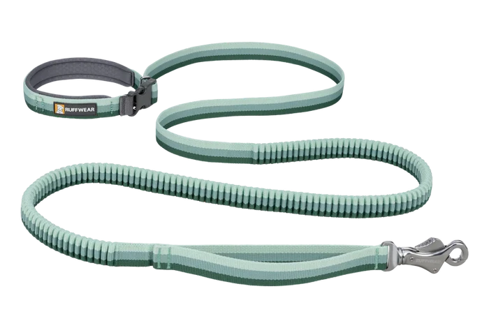 RuffWear Roamer Bungee Leash 2024 - Dog.Dog.Cat.