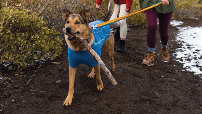 Ruffwear Climate Changer™ Dog Fleece technical, breathable fleece - Blue Jay - Dog.Dog.Cat.