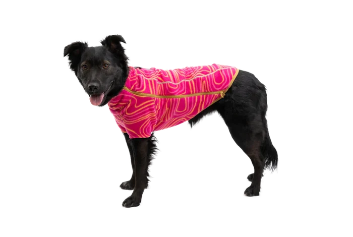 Ruffwear Climate Changer™ Dog Fleece technical, breathable fleece - Blue Jay - Dog.Dog.Cat.