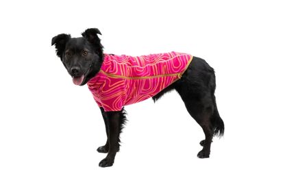 Ruffwear Climate Changer™ Dog Fleece technical, breathable fleece - Blue Jay - Dog.Dog.Cat.