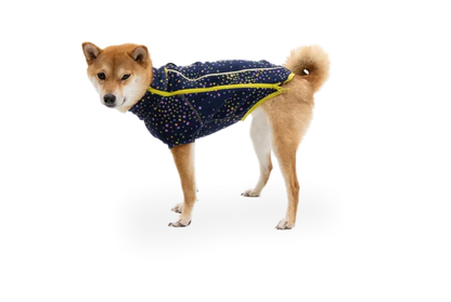 Ruffwear Climate Changer™ Dog Fleece technical, breathable fleece - Galaxy - Dog.Dog.Cat.