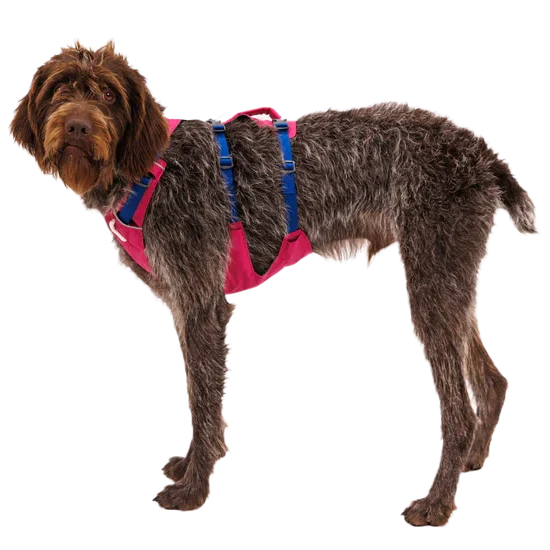 Ruffwear Flagline Harness - Dog.Dog.Cat.