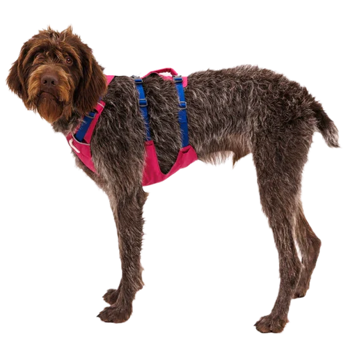 Ruffwear Flagline Harness - Dog.Dog.Cat.