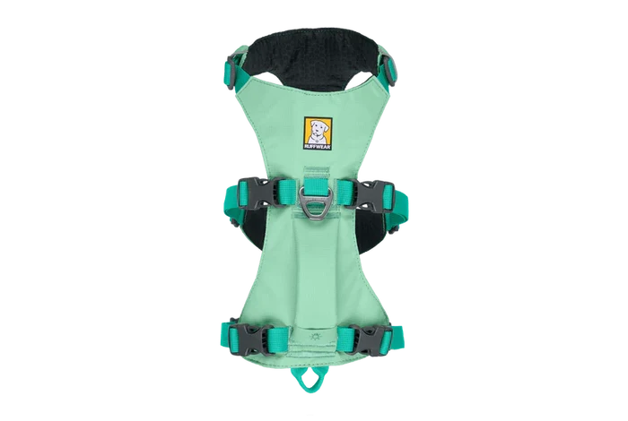 XX-Small 13" - 17" / Sage Green