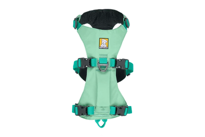 XX-Small 13" - 17" / Sage Green