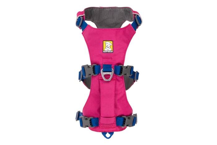 XX-Small 13" - 17" / Alpenglow Pink