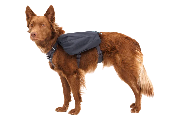 Ruffwear Front Range Day Pack - Dog.Dog.Cat.