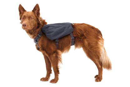 Ruffwear Front Range Day Pack - Dog.Dog.Cat.