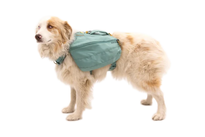Ruffwear Front Range Day Pack - Dog.Dog.Cat.