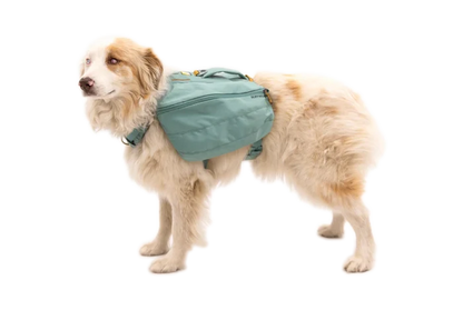 Ruffwear Front Range Day Pack - Dog.Dog.Cat.