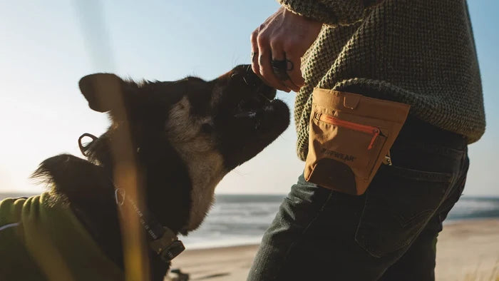 Ruffwear Treat Trader™ Dog Treat Pouch Hands-free Dog Treat Bag - Dog.Dog.Cat.