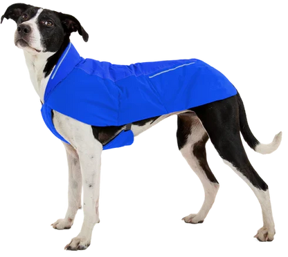 Ruffwear Vert™ Dog Jacket - Dog.Dog.Cat.