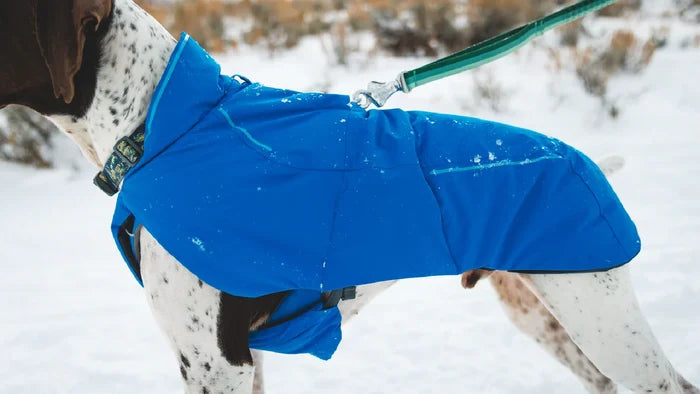 Ruffwear Vert™ Dog Jacket - Dog.Dog.Cat.