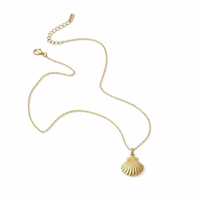 Seashell Pendant Necklace marketplace image
