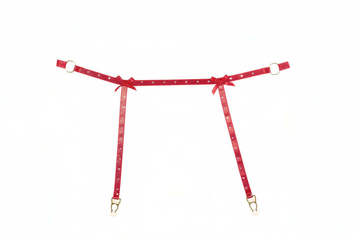 Seductive Red Garter and Panty Set with Rhinestone Straps - Allure Ashley Collection Allure Lingerie
