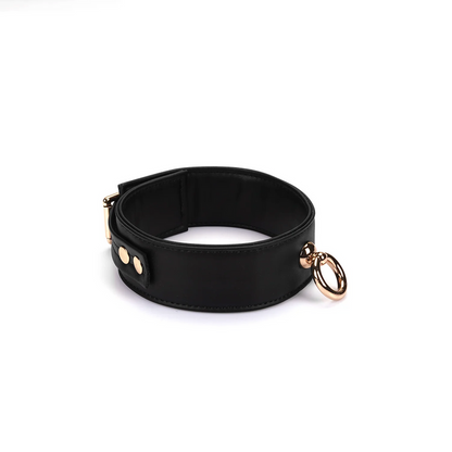 Shadowcraft Vegan Collar and Leash