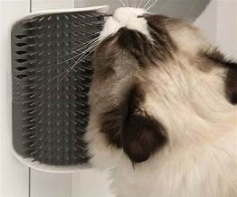 ET SN Silvervine Self Groomer - Dog.Dog.Cat.