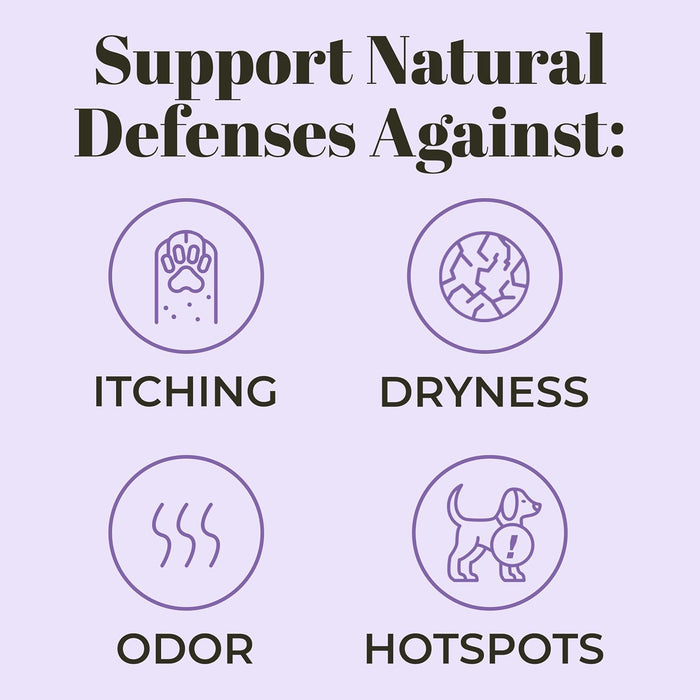 Skout Probiotic Shampoo & Conditioner - Lavender : 16 oz - Dog.Dog.Cat.