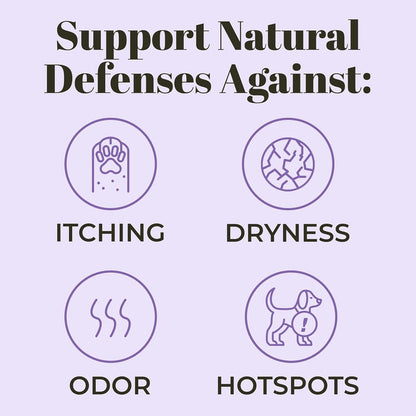 Skout Probiotic Shampoo & Conditioner - Lavender : 16 oz - Dog.Dog.Cat.