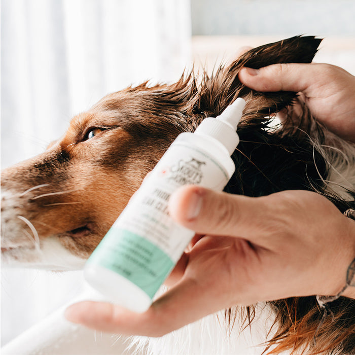 Skout's Honor Probiotic Ear Cleaner with Aloe Vera for Dogs & Cats (4 oz) - Dog.Dog.Cat.
