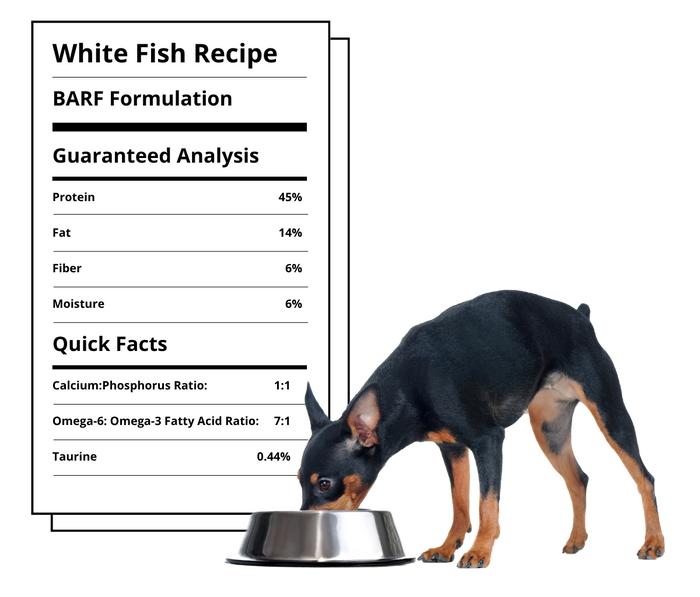 Steve's Real Food Freeze-Dried White Fish Nuggets – 20 oz - Dog.Dog.Cat.