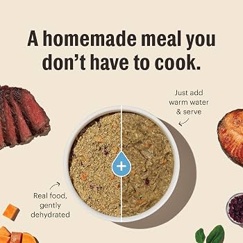 The Honest Kitchen Grain Free Turkey Dehydrated Dog Food