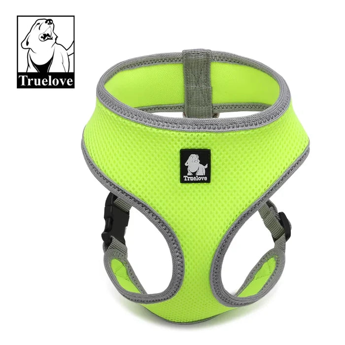 Lime / SM