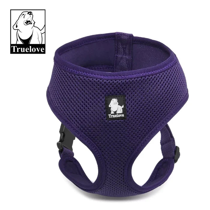 Purple / SM