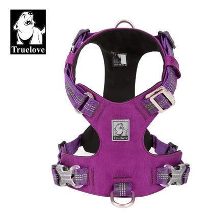XXS / Purple