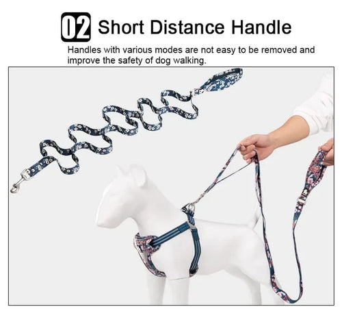 TrueLove Leash TLL3112 - Dog.Dog.Cat.