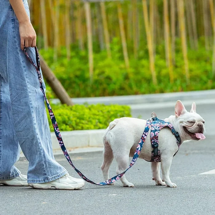 TrueLove Leash TLL3112 - Dog.Dog.Cat.
