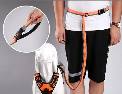 Truelove Nylon Bungee Dog Leash TLL2271 - Dog.Dog.Cat.
