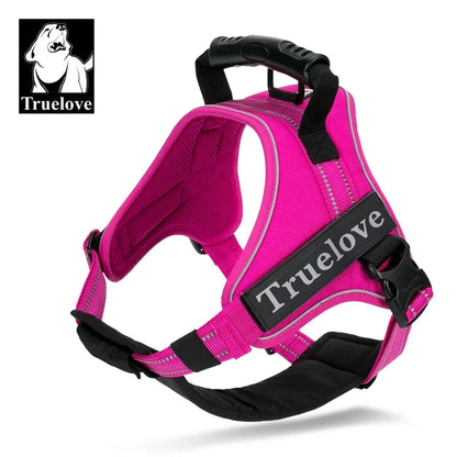 Fuchsia (Pink) / XXXS