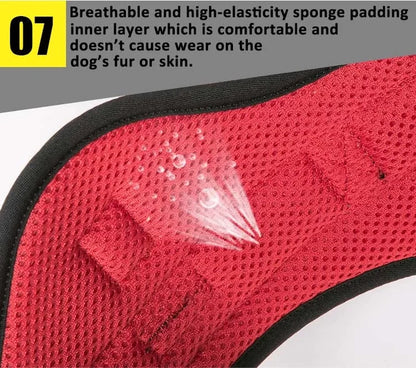 Truelove Outdoor Adventure Big Dog Harness  Model Number: TLH5753 - Dog.Dog.Cat.