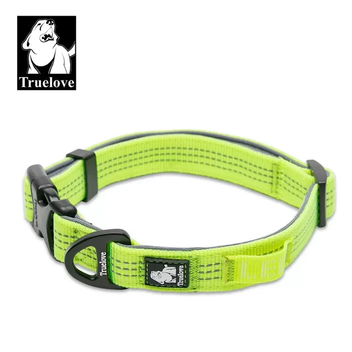 Neon Yellow / SM