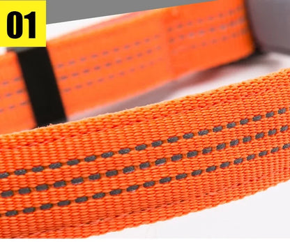 TrueLove Quick Dry Collar TLC5271 - Dog.Dog.Cat.