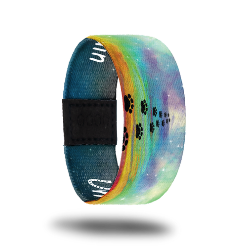 Outside Design of Until We Meet Again: rainbow skies with white stars and a darker rainbow bridge with black paw prints going up it