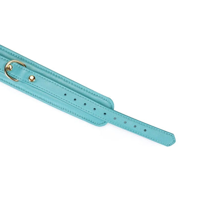 Valkyrie Vice Leather Collar and Leash