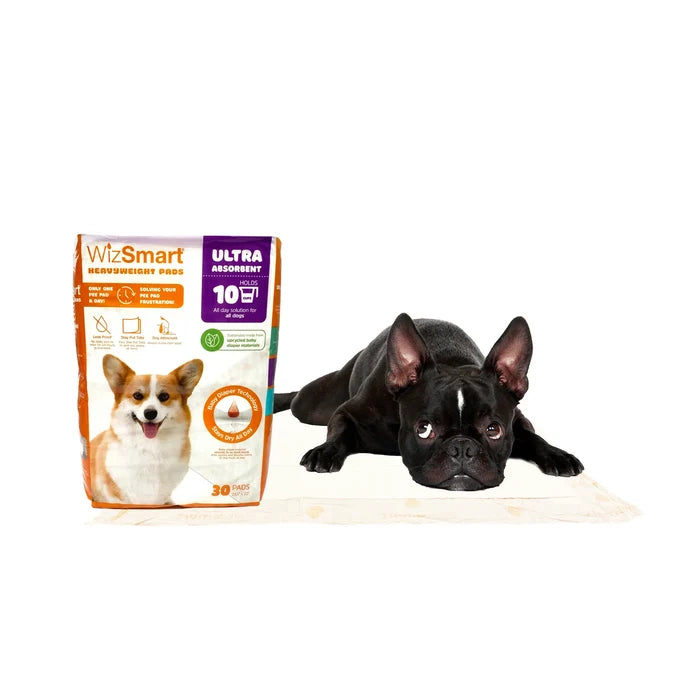 Wizsmart Dog Pads-Ultra 30 : 23.5 x 22" - Dog.Dog.Cat.