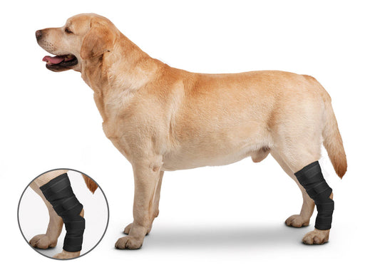 ZENPET - OrthoWrap Hock Protector - Dog.Dog.Cat.